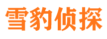 南海侦探公司